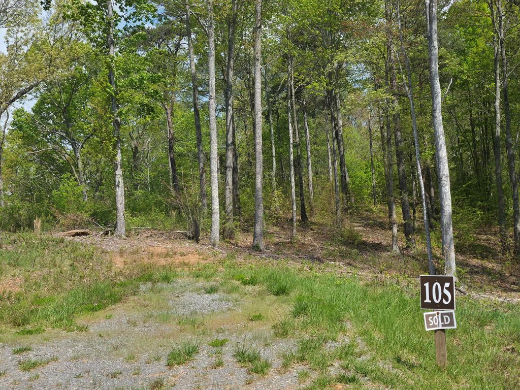Lot 105 Twisted Oak Road Property Photo 5