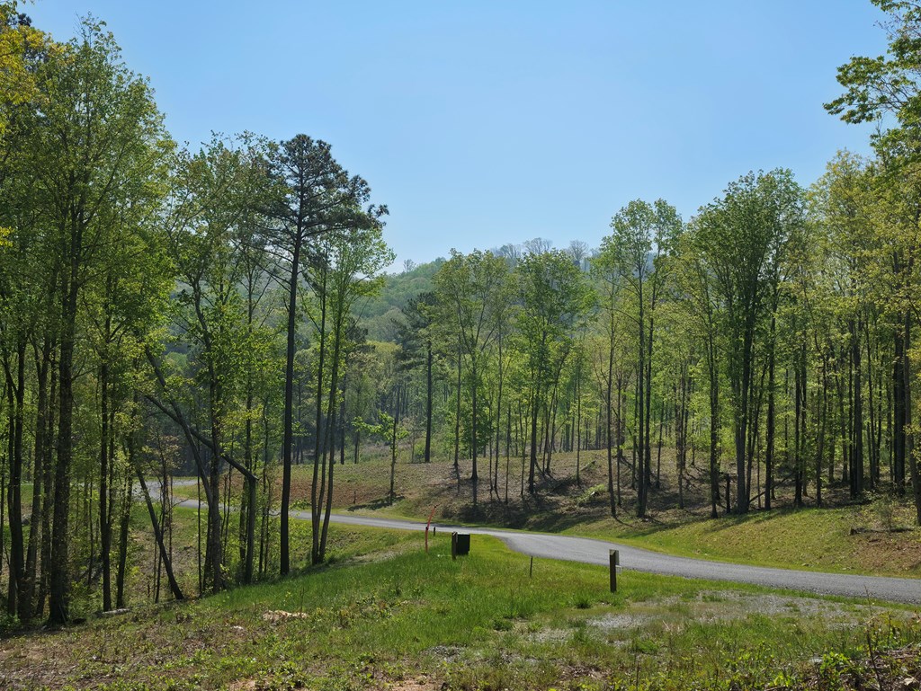 Lot 105 Twisted Oak Road Property Photo 7