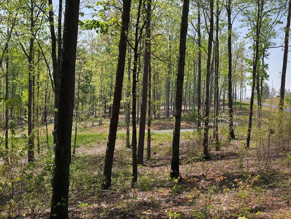 Lot 105 Twisted Oak Road Property Photo 8