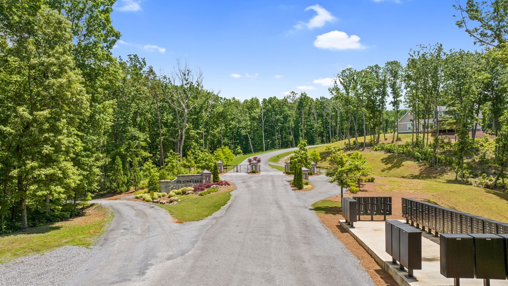 Lot 105 Twisted Oak Road Property Photo 11