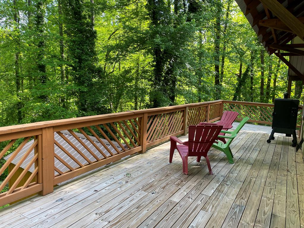 1198 Chatuge Village Circle Property Photo 14