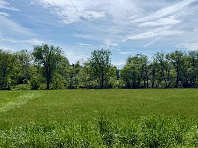 59 Rainy Farm Road Property Photo 6