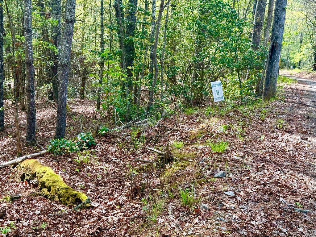 59 Rainy Farm Road Property Photo 9