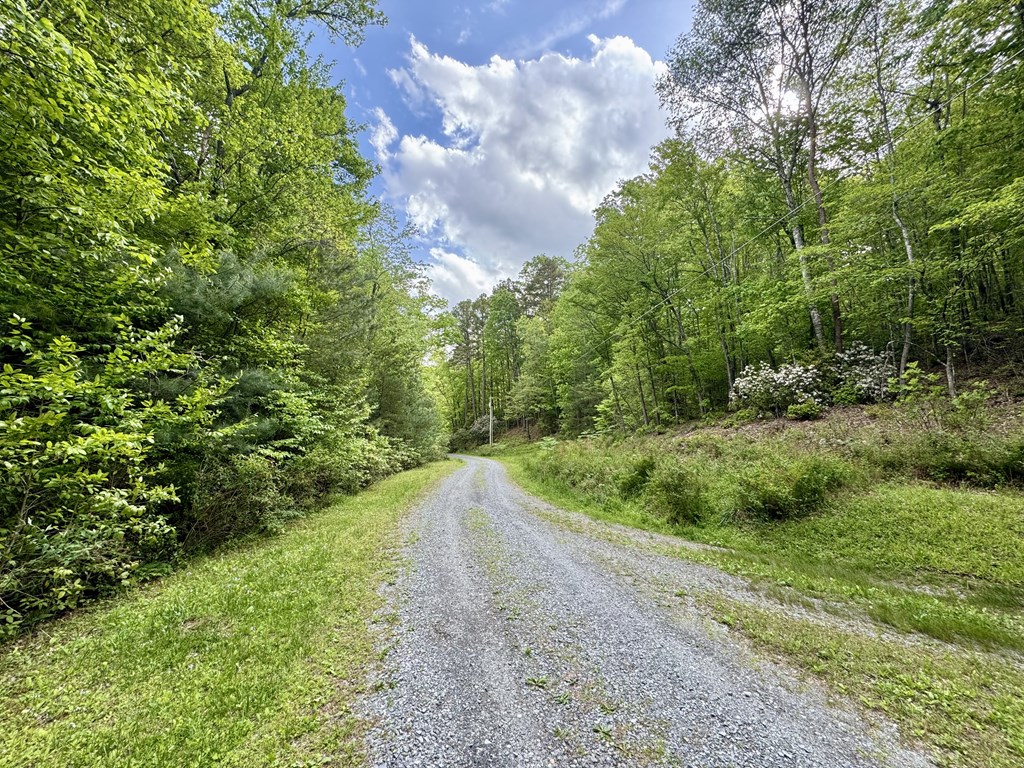 208 Bullen Gap Road Property Photo 2