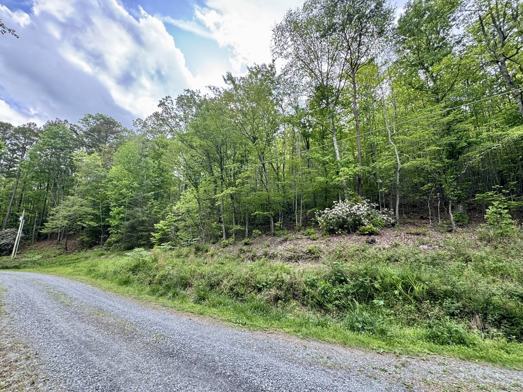 208 Bullen Gap Road Property Photo 3