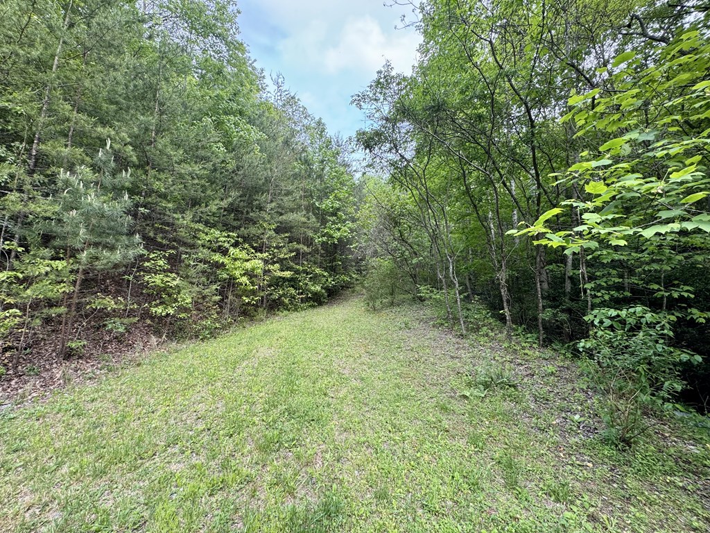 208 Bullen Gap Road Property Photo 5