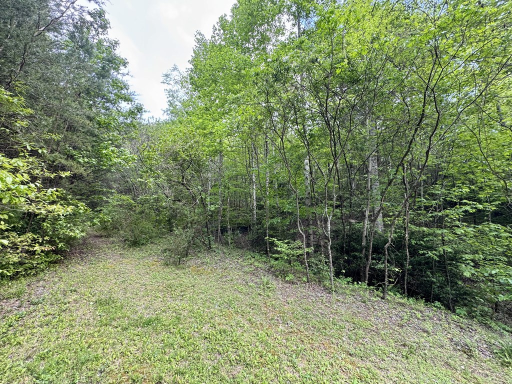 208 Bullen Gap Road Property Photo 6