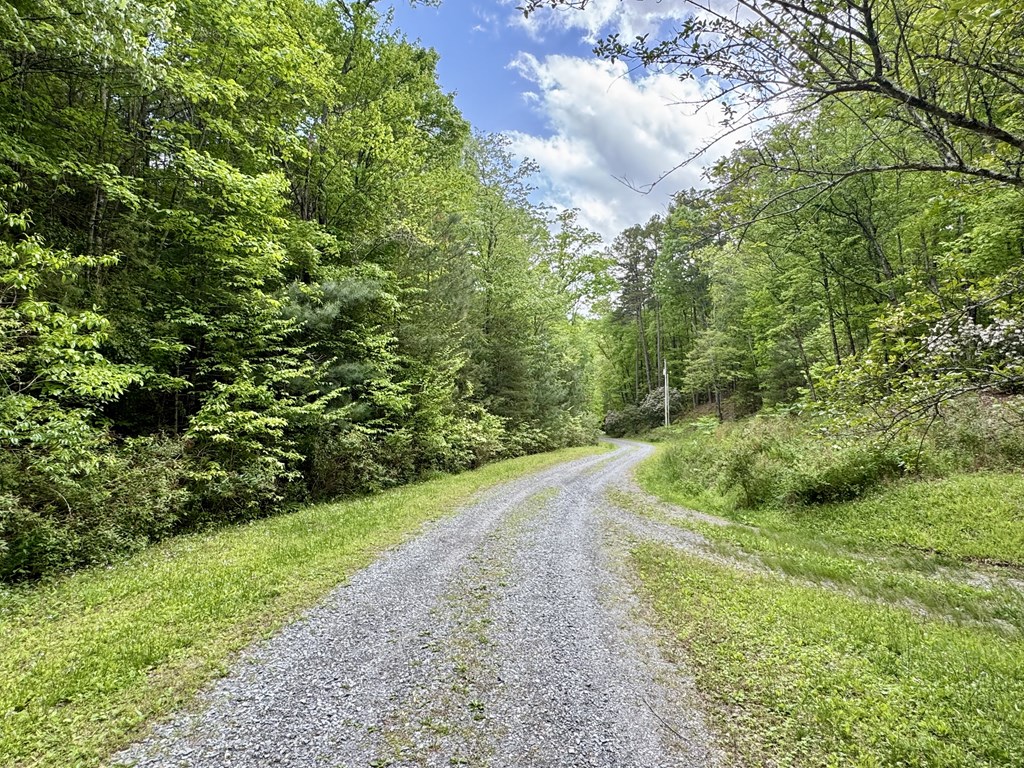 208 Bullen Gap Road Property Photo 10