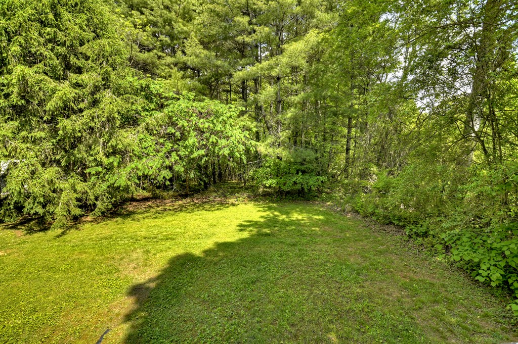 7755 Old Hwy 76 Property Photo 21
