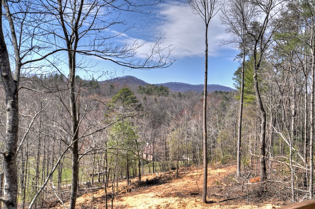 1204 Settlers Ridge Road Property Photo 7