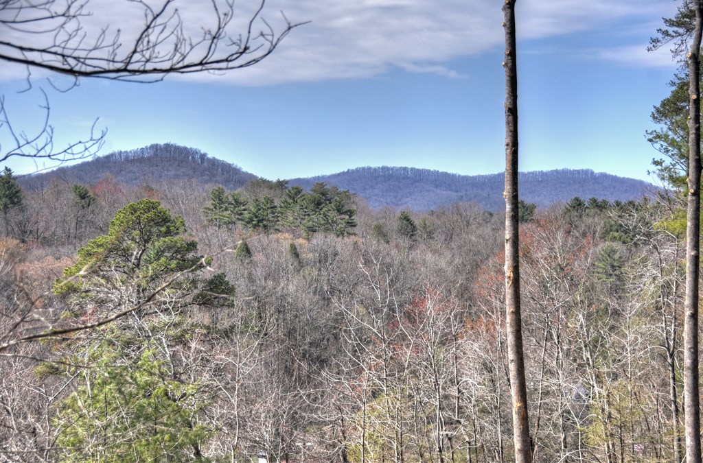 1204 Settlers Ridge Road Property Photo 24