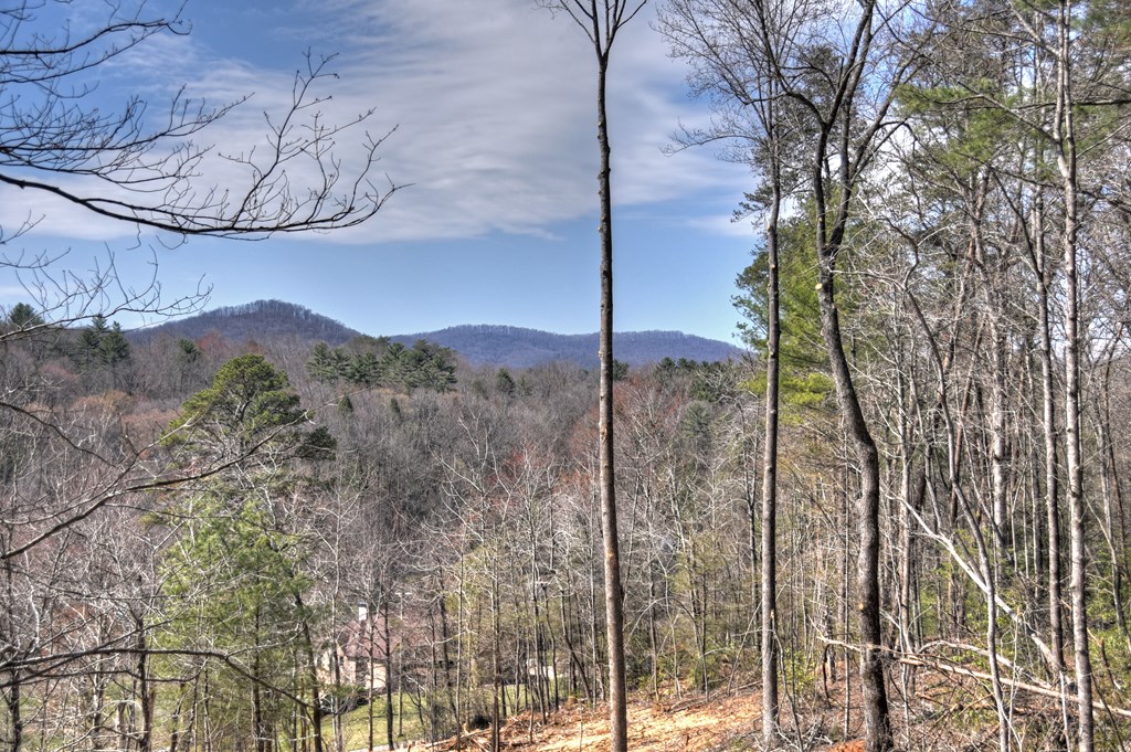 1204 Settlers Ridge Road Property Photo 25