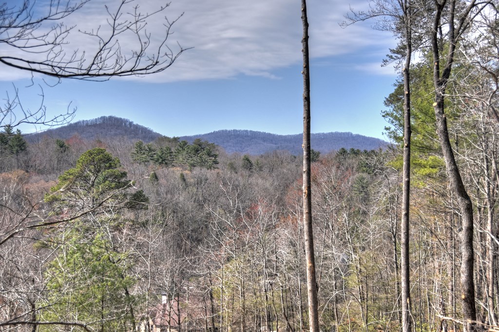 1204 Settlers Ridge Road Property Photo 26
