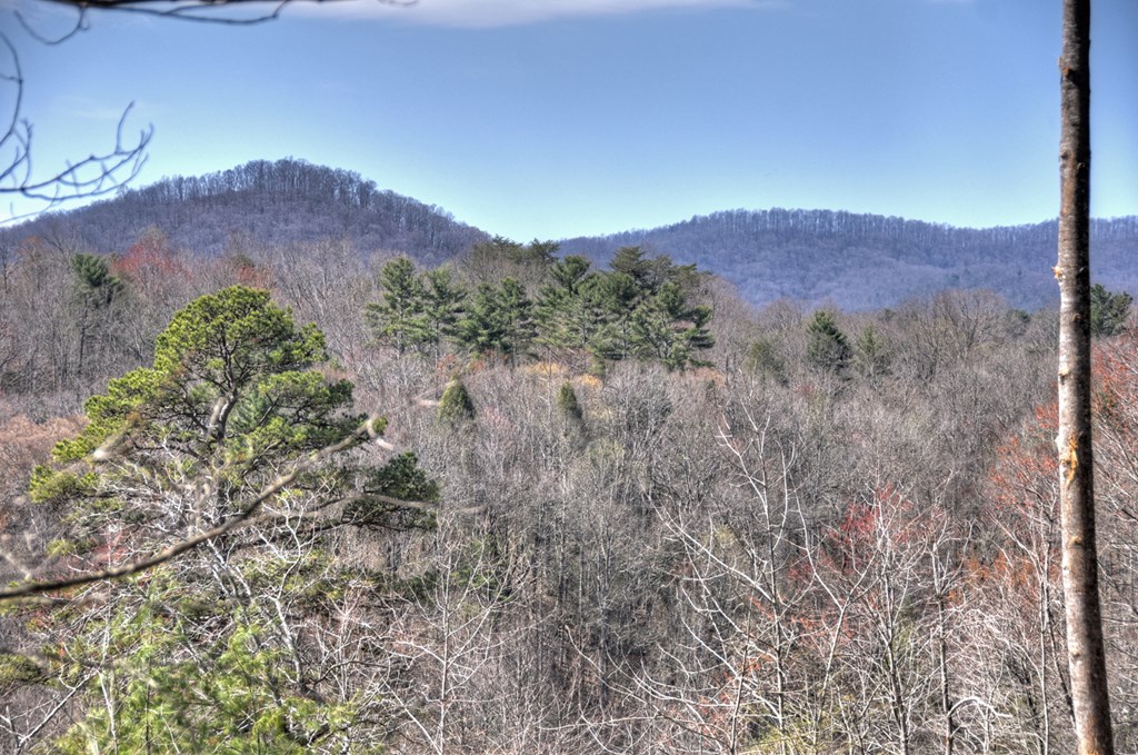 1204 Settlers Ridge Road Property Photo 49