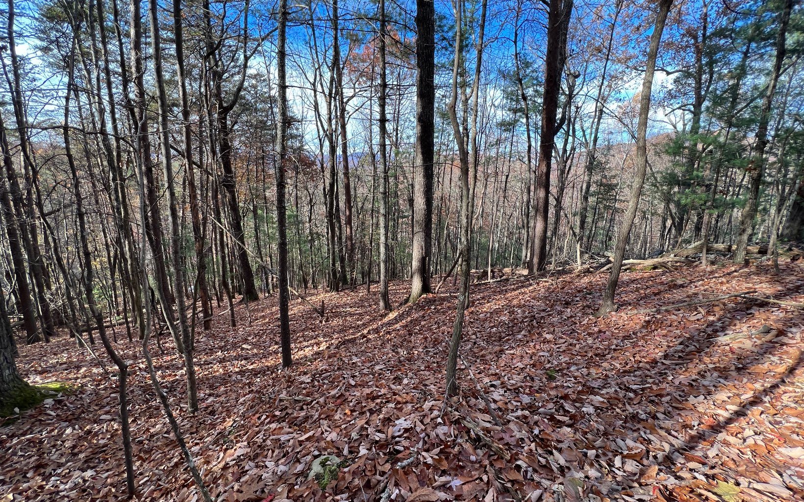 J-214 Walnut Mountain Road Property Photo 1