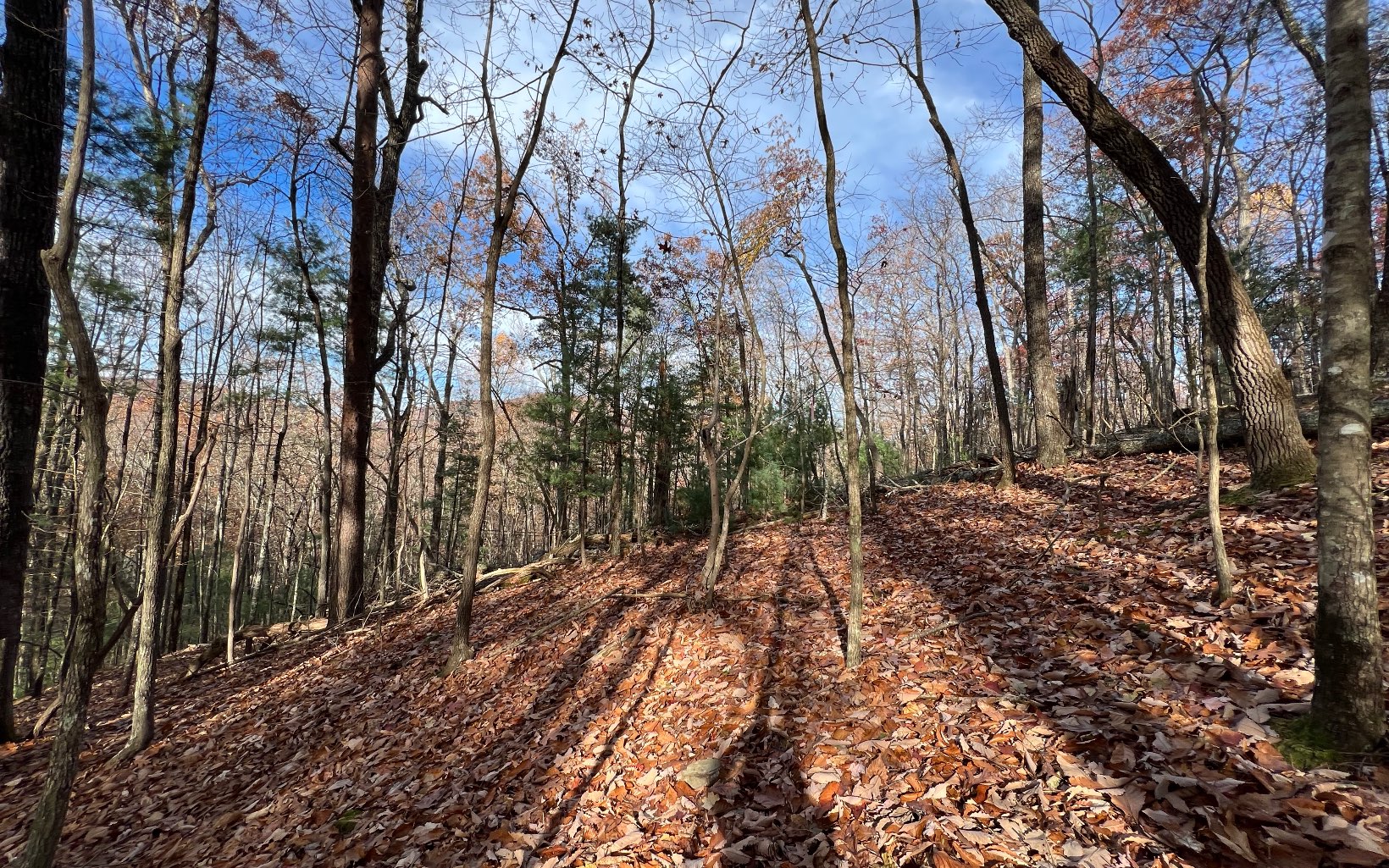 J-214 Walnut Mountain Road Property Photo 2