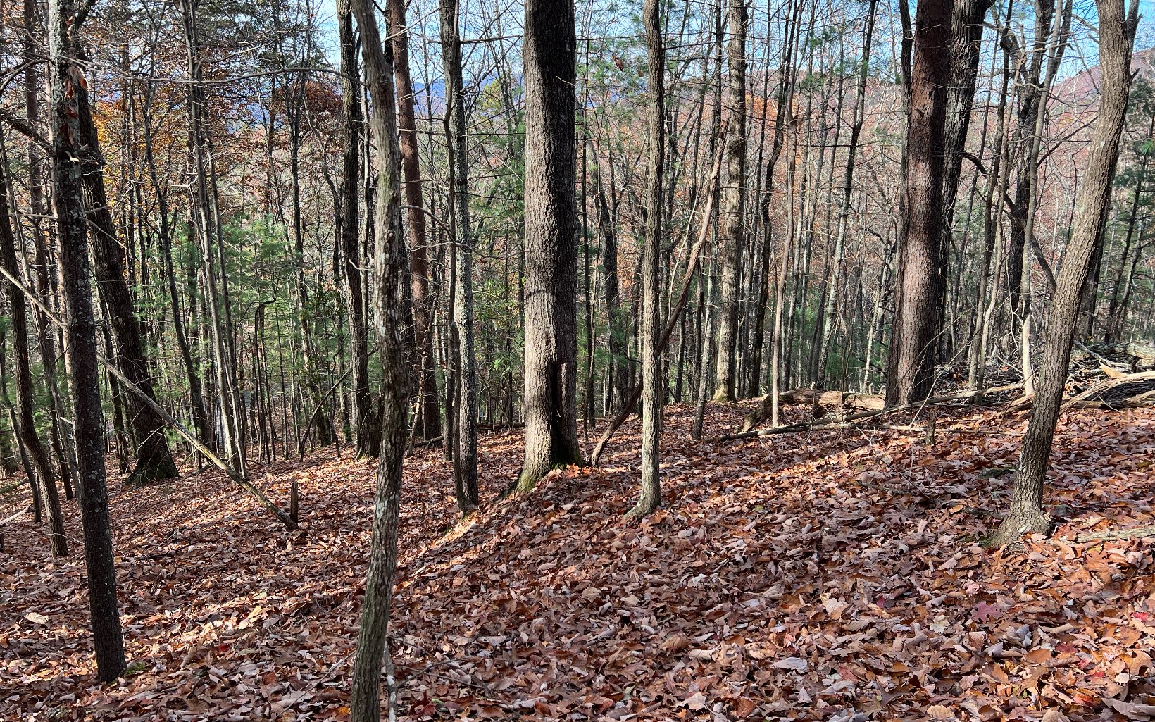 J-214 Walnut Mountain Road Property Photo 3