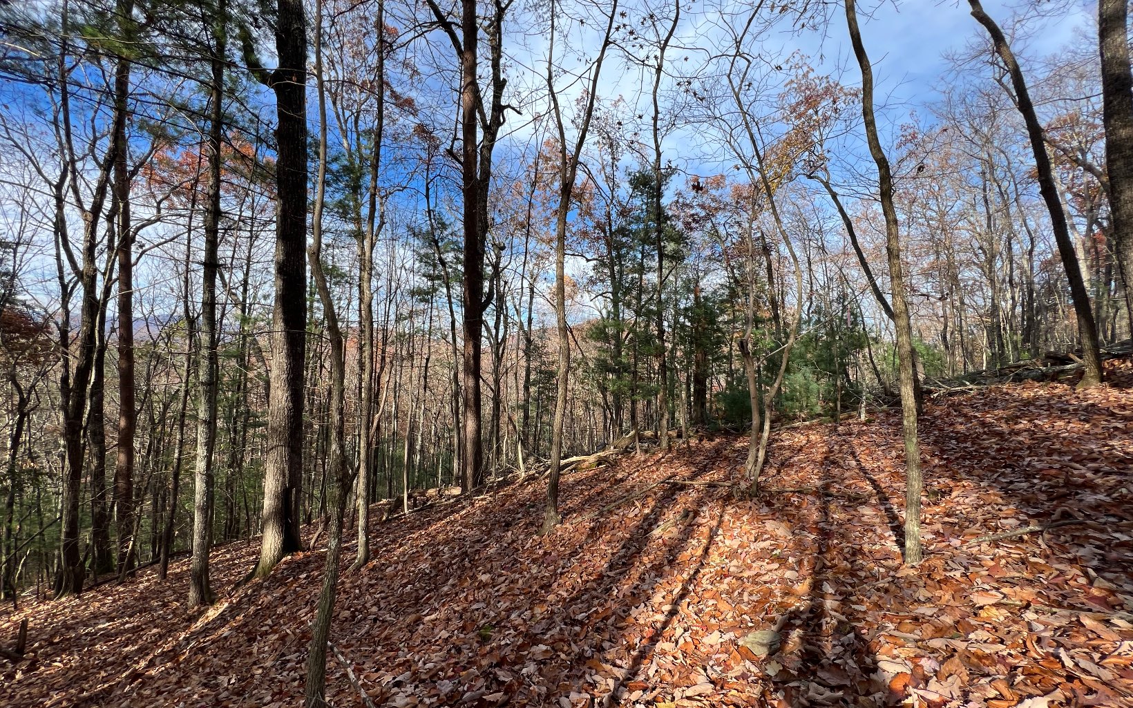 J-214 Walnut Mountain Road Property Photo 5