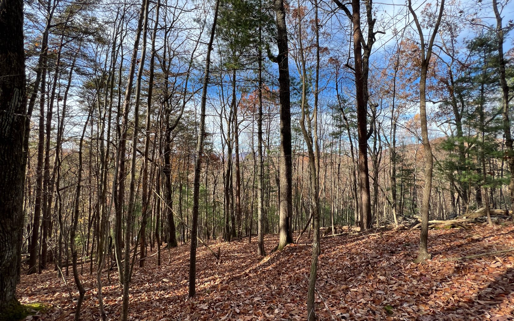 J-214 Walnut Mountain Road Property Photo 7