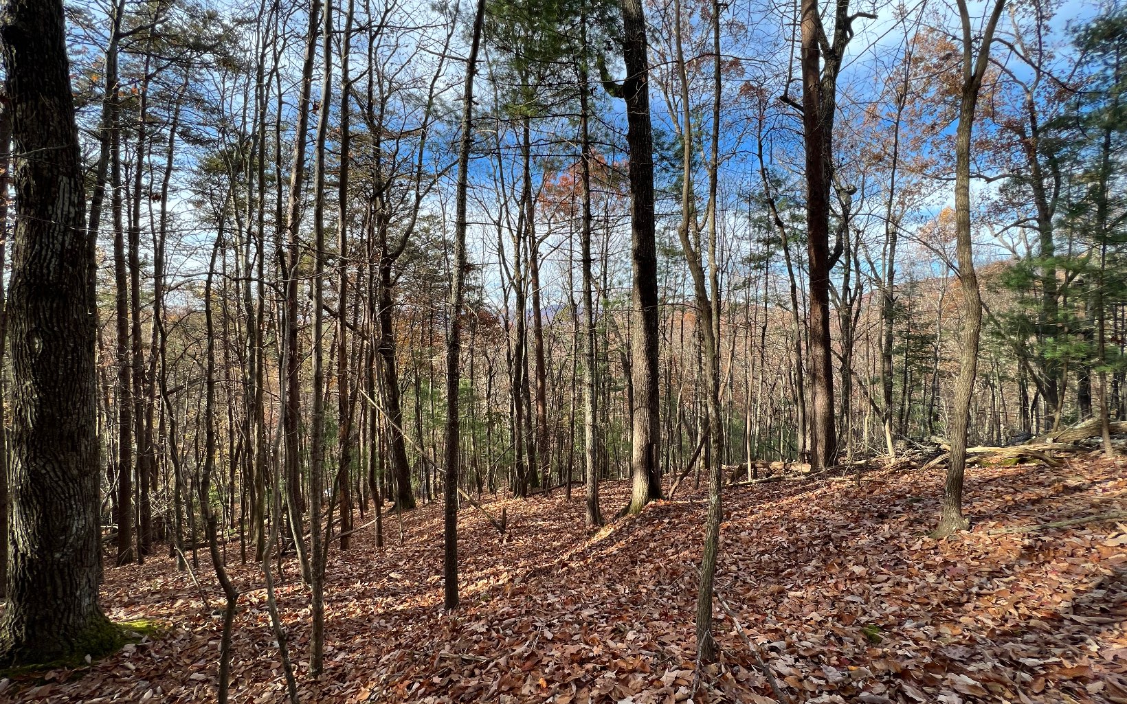 J-214 Walnut Mountain Road Property Photo 8
