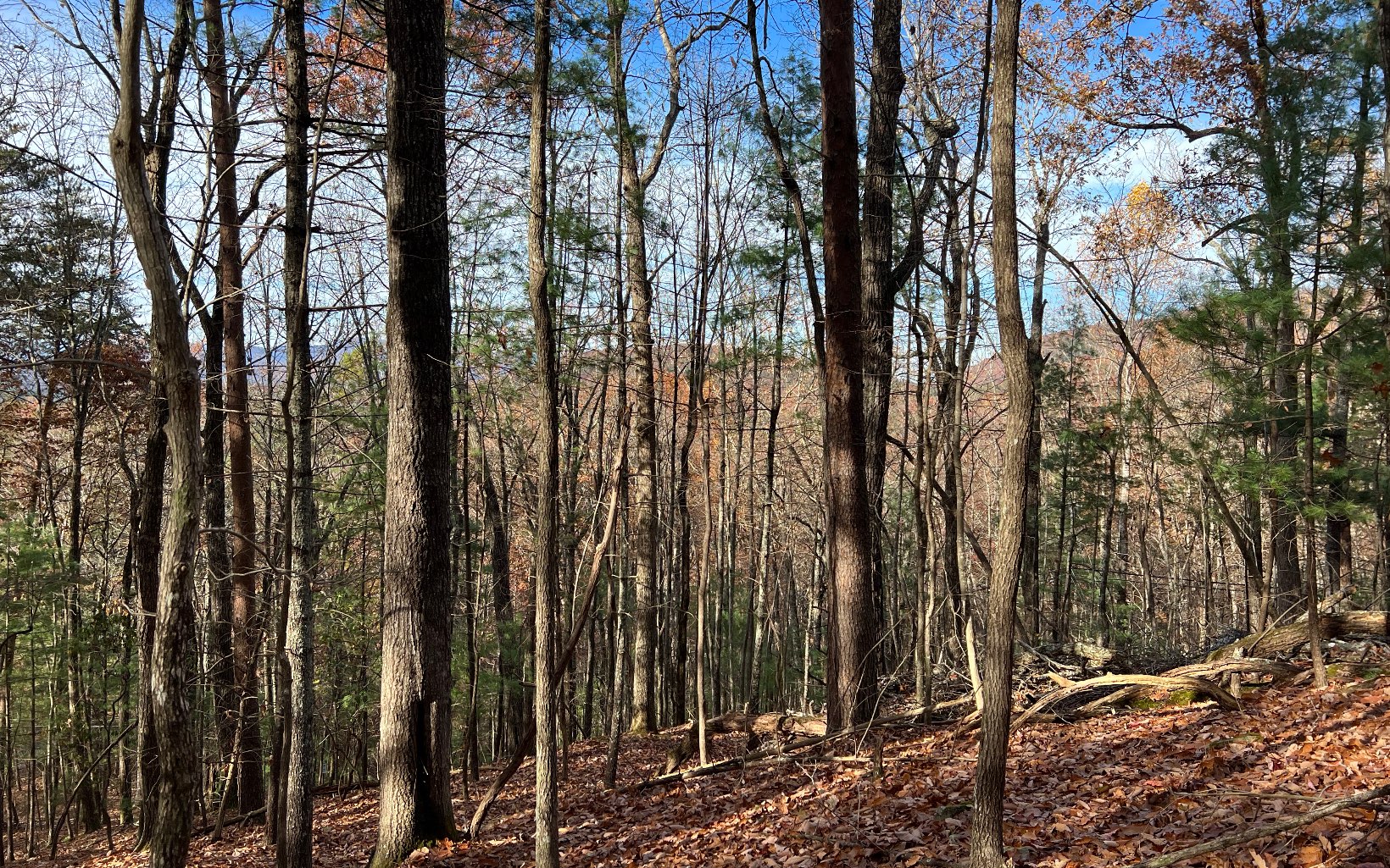 J-214 Walnut Mountain Road Property Photo 9