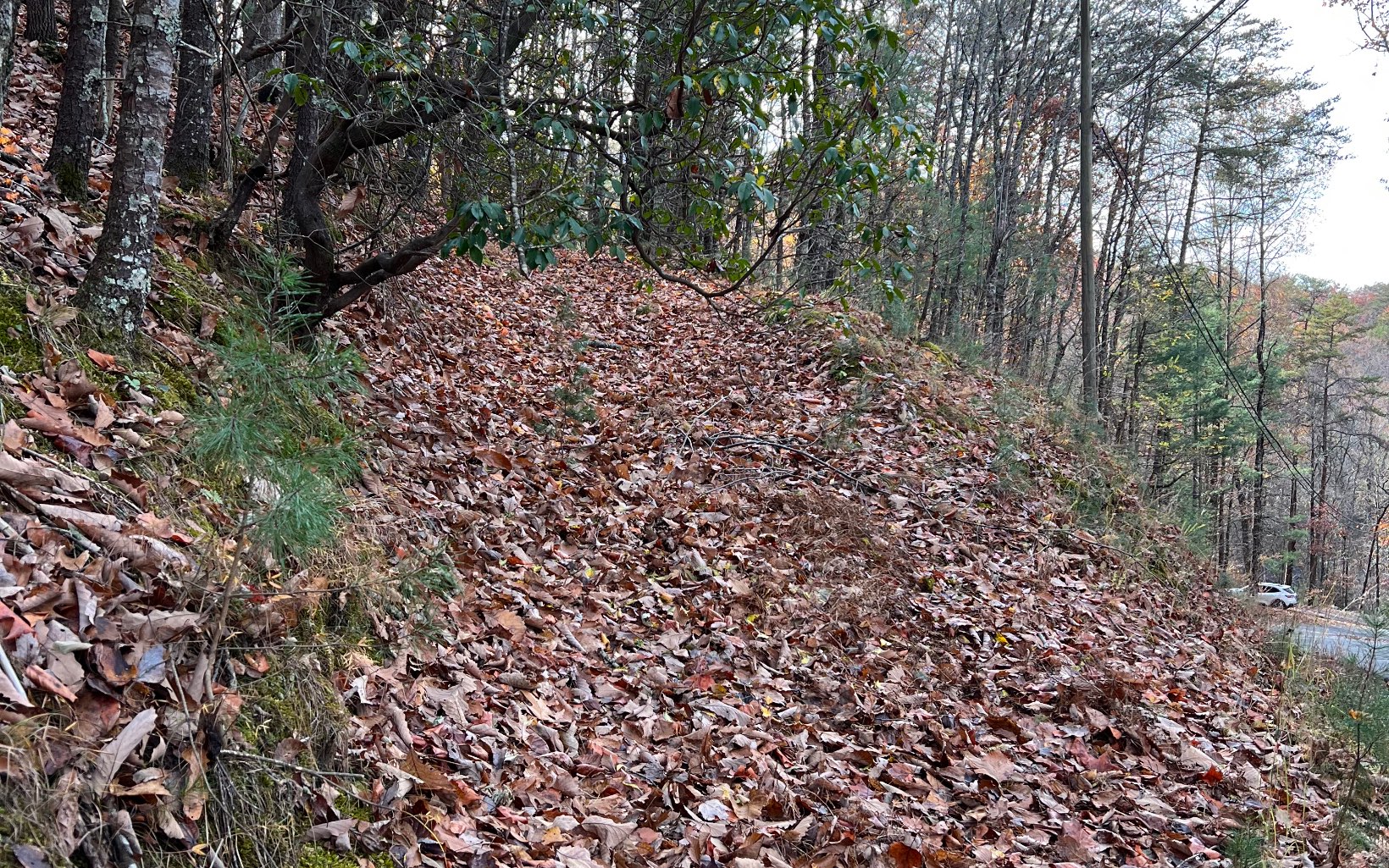 J-214 Walnut Mountain Road Property Photo 10