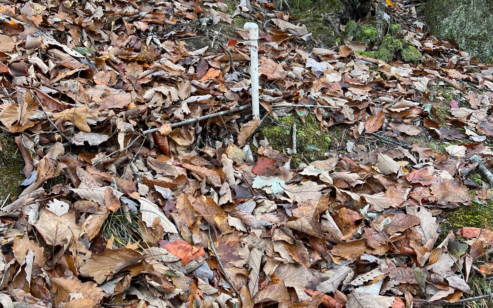 J-214 Walnut Mountain Road Property Photo 11