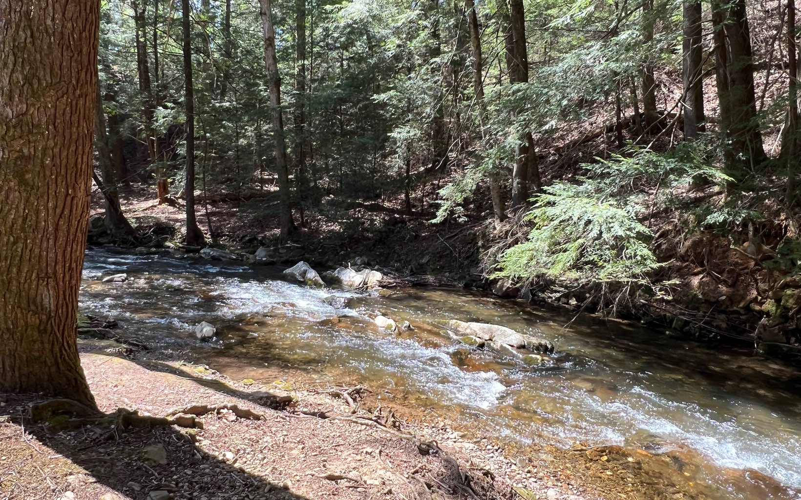 J-214 Walnut Mountain Road Property Photo 16