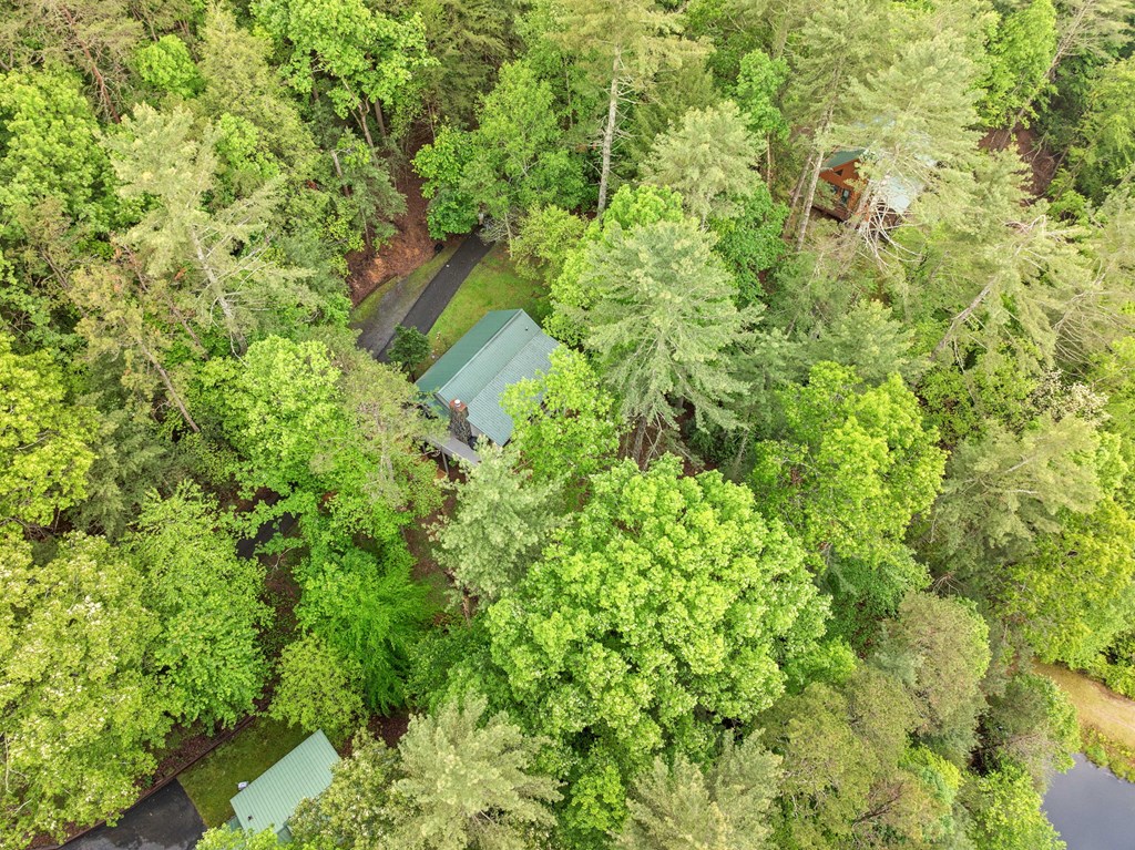 168 Spring Lake Drive Property Photo 40