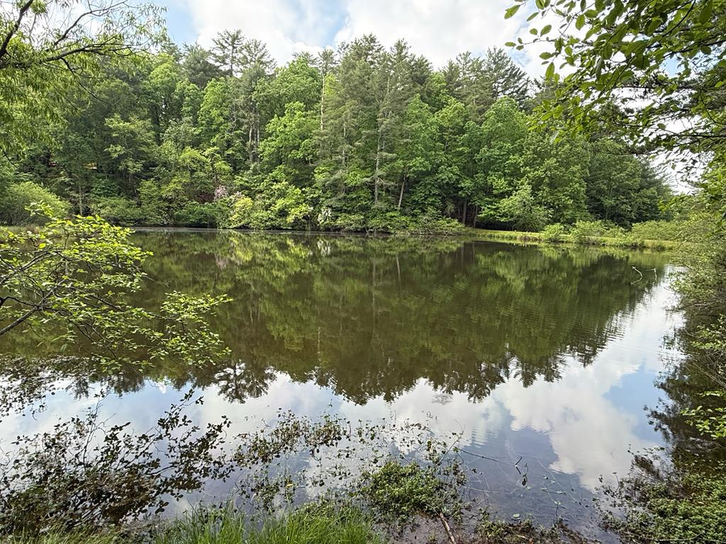 168 Spring Lake Drive Property Photo 45