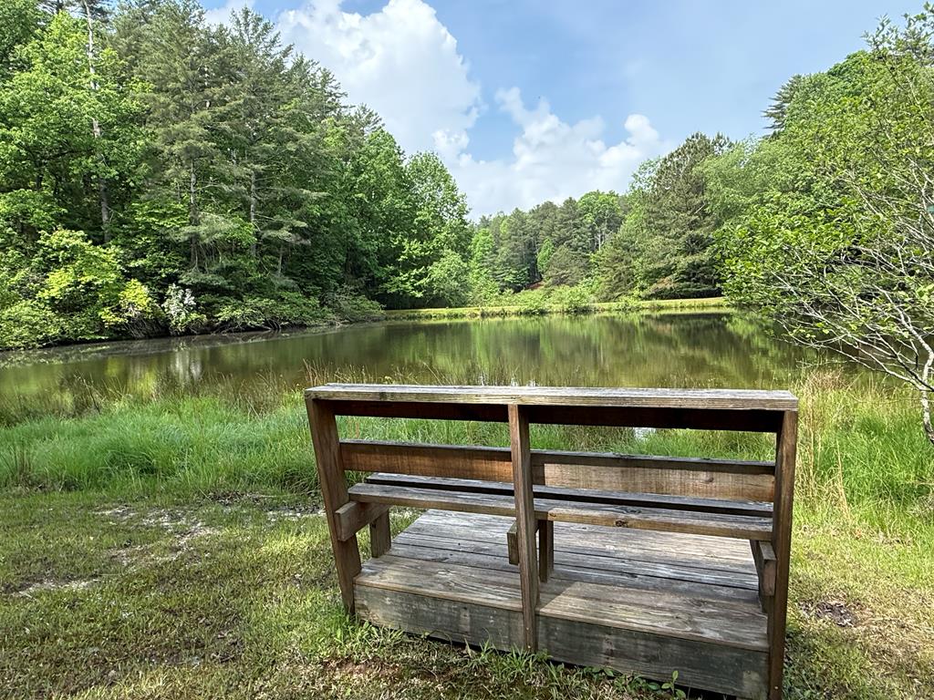168 Spring Lake Drive Property Photo 46