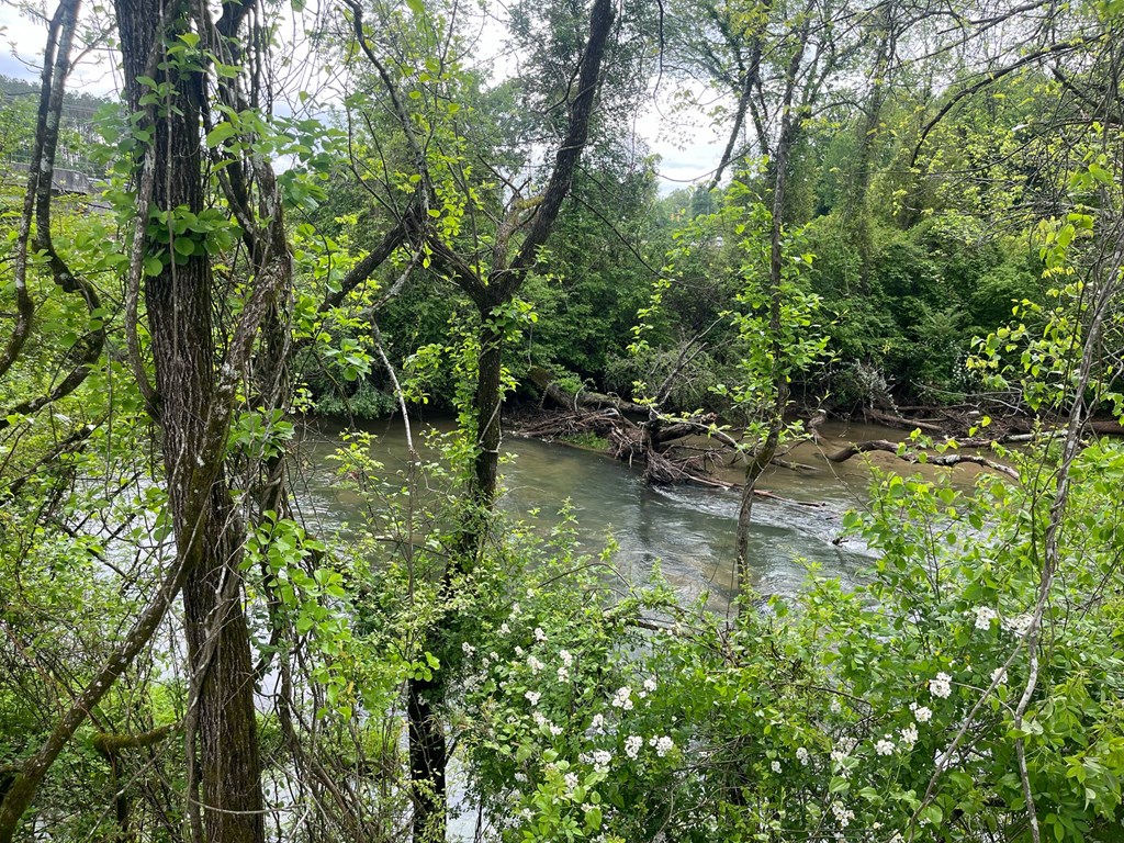 Lot 16a Rivers Edge Drive Property Photo 9
