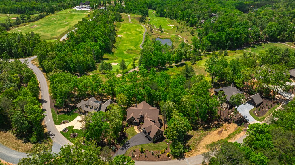 1533 Old Toccoa Loop Property Photo 57