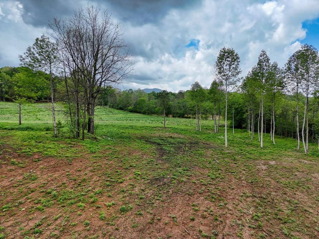 Tract Ii Shuler Road Property Photo 4