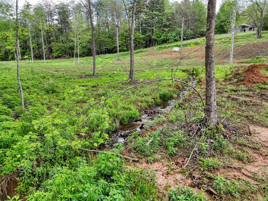 Tract Ii Shuler Road Property Photo 6