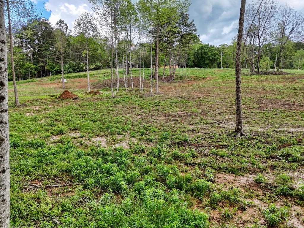 Tract Ii Shuler Road Property Photo 8