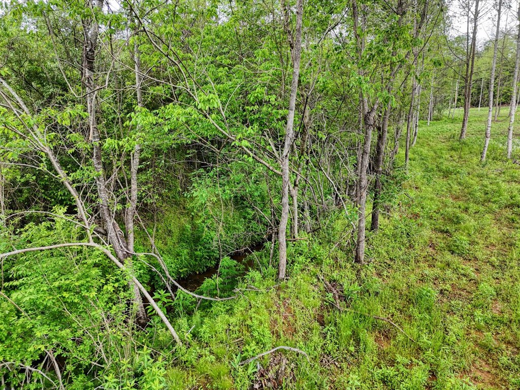 Tract Ii Shuler Road Property Photo 9