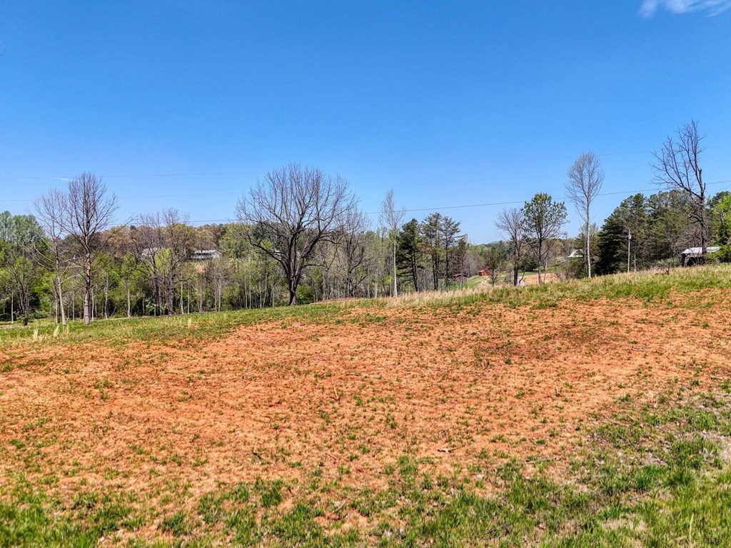 Tract Ii Shuler Road Property Photo 12