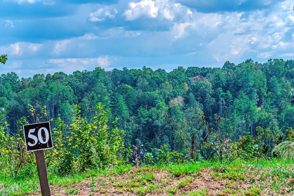 Lot 50 Jakes Landing Way Property Photo 1