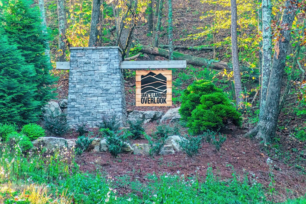 Lot 50 Jakes Landing Way Property Photo 2