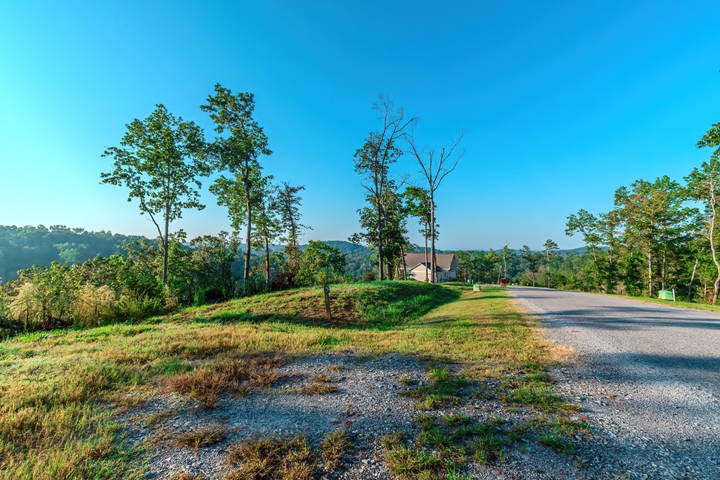 Lot 50 Jakes Landing Way Property Photo 3