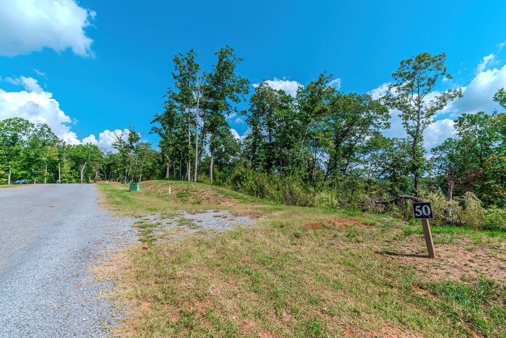 Lot 50 Jakes Landing Way Property Photo 4