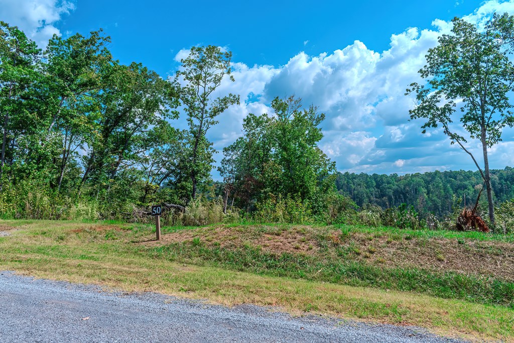 Lot 50 Jakes Landing Way Property Photo 5