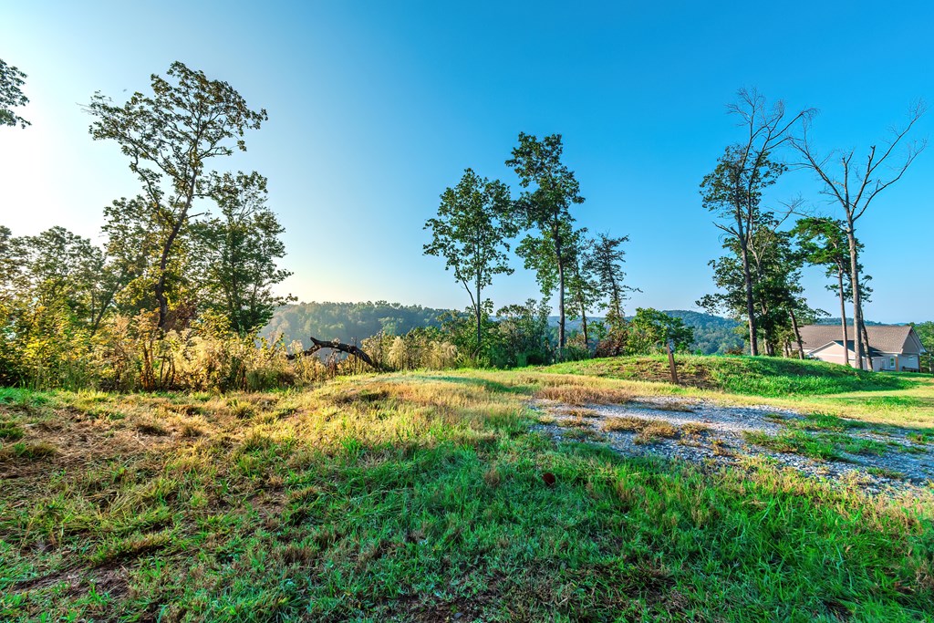 Lot 50 Jakes Landing Way Property Photo 6