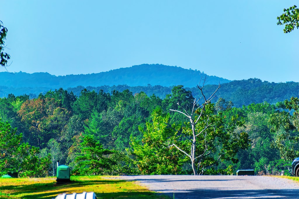 Lot 50 Jakes Landing Way Property Photo 8