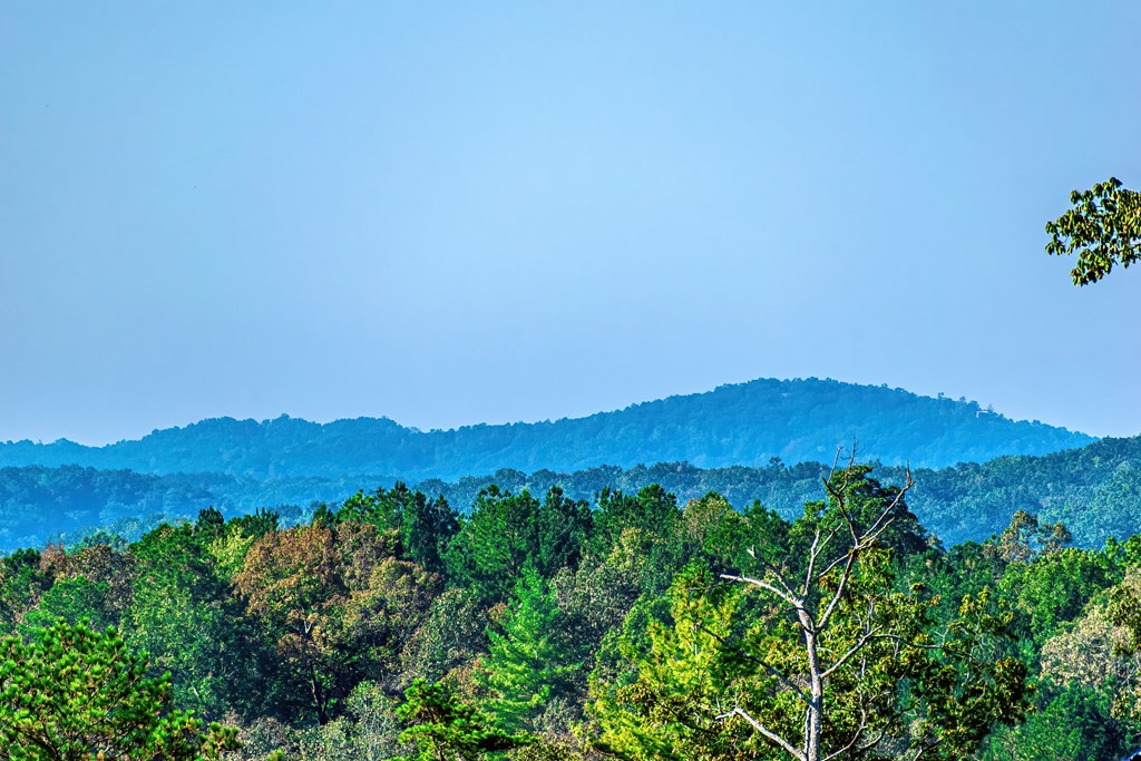 Lot 50 Jakes Landing Way Property Photo 9