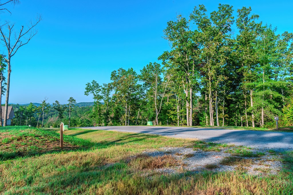 Lot 50 Jakes Landing Way Property Photo 11