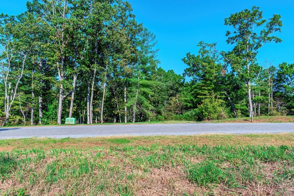 Lot 50 Jakes Landing Way Property Photo 12