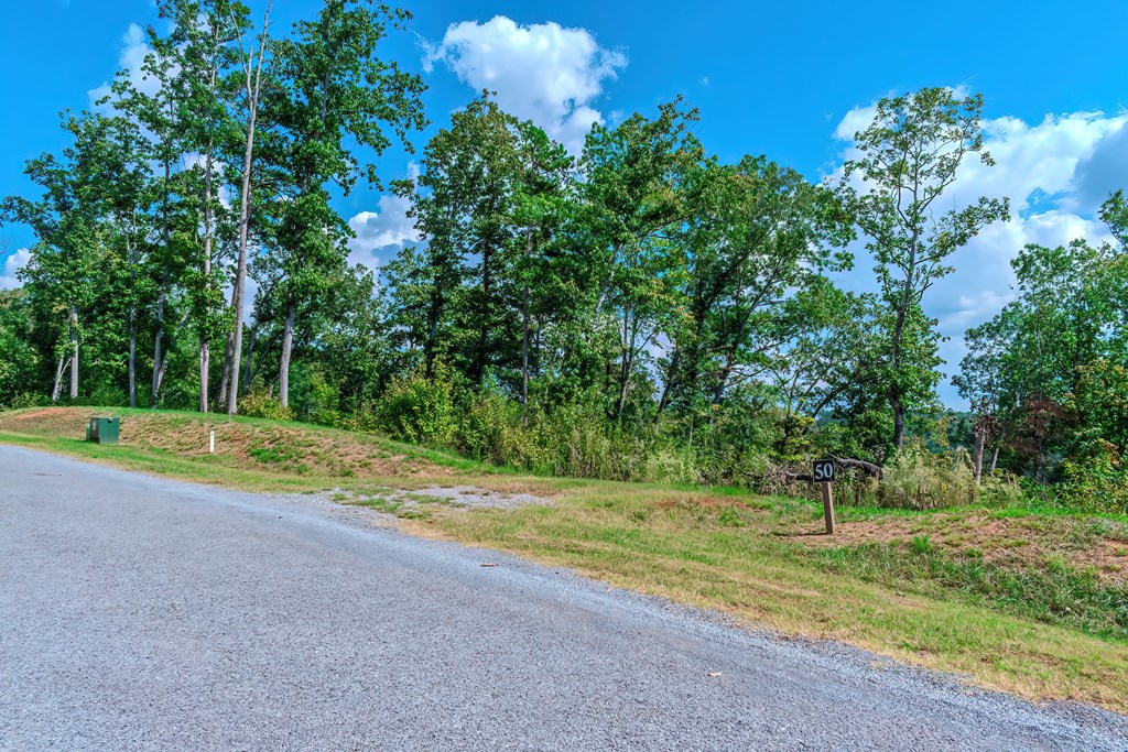 Lot 50 Jakes Landing Way Property Photo 13