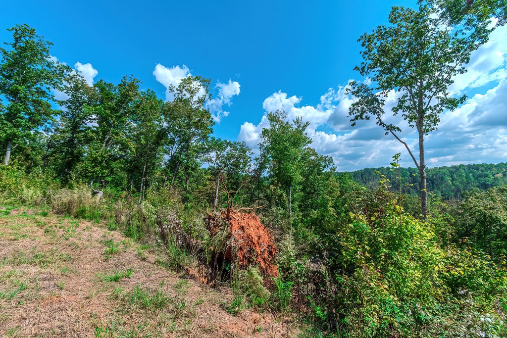 Lot 50 Jakes Landing Way Property Photo 14